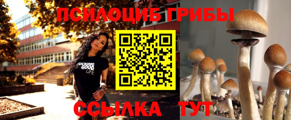 Галлюциногенные грибы GOLDEN TEACHER Грозный